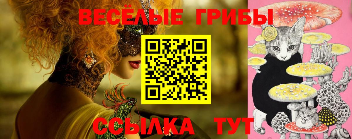 Псилоцибиновые грибы Magic Shrooms Крымск